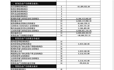 舉報人周筱赟貼出的中華兒慈會2011年財務(wù)報表，并標(biāo)出可疑項目。網(wǎng)絡(luò)截圖