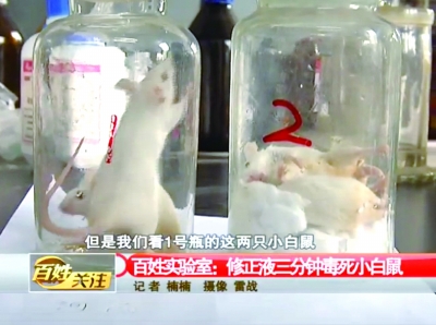 4三分鐘后，修正液瓶中的小白鼠死亡