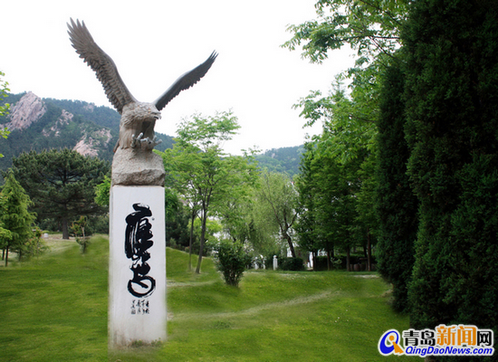 探訪(fǎng)青島唯一葡萄酒名莊 坐擁山海風(fēng)光旖旎