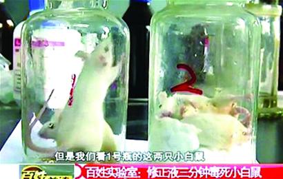 傳3分鐘能毒死小白鼠 青島學校封殺修正液