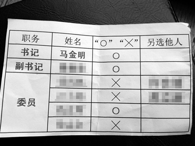 部分黨員提供的“選票”。新京報(bào)記者 劉珍妮 攝