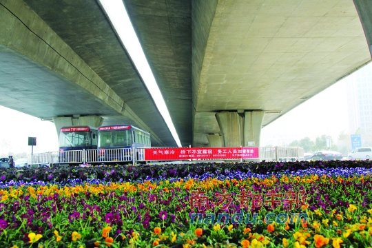 鄭州市中州大道農(nóng)業(yè)路口橋下新擺滿的花盆，旁邊是救助提示語。本版圖片均由南都記者 孫旭陽 攝