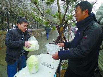市人大代表、政協(xié)委員關(guān)注“菜事”建議拓寬銷售渠道