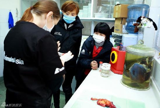 孫儷任“愛(ài)心大使”探訪黑熊 “甄嬛”握熊掌痛心落淚