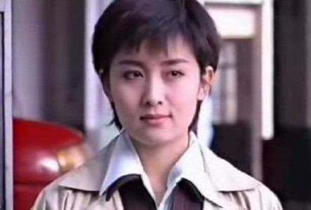 李晨徐靜蕾李亞鵬 揭90年代內地偶像劇明星現(xiàn)狀