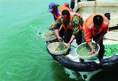 黃島石嶺子、齋堂島兩處人工魚(yú)礁一期項(xiàng)目均已建成 將開(kāi)展垂釣潛水等休閑項(xiàng)目