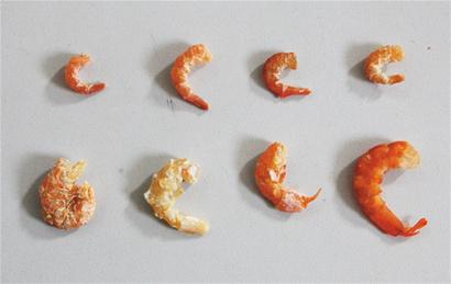 金鉤海米每斤最貴600元 價(jià)格相差10倍 金鉤海米每斤最貴600元 價(jià)格相差10倍