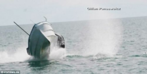 實拍巨鯨海中上浮 掀翻海面摩托艇驚險瞬間(圖)