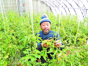 那些年，我們那樣學(xué)雷鋒