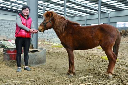 村民開辦家庭動物園免費(fèi)對外開放