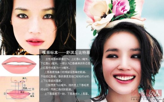 2013娛樂圈整容新標(biāo)本：甄嬛眼柳巖胸舒淇嘴 