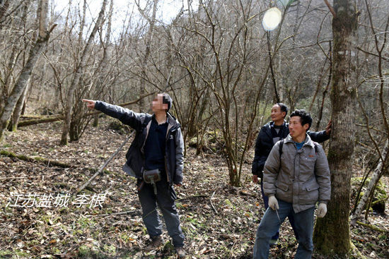 2013年3月4日，陜西省安康市鎮(zhèn)坪縣，隨周正龍上山人員研究尋虎方案。李根/CFP