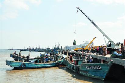膠州東營碼頭蛤蜊大量收獲搶紅島“頭彩”，全市蛤蜊每天約消費50噸