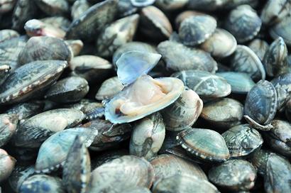 別看個頭小，但是里面很肥