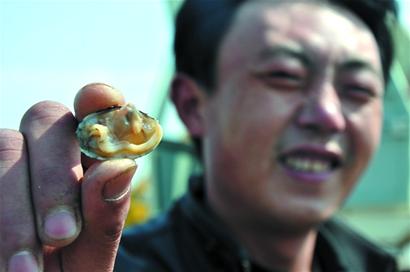 別看個頭小，但是里面很肥