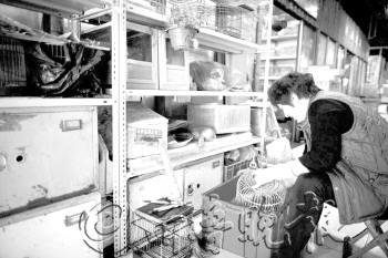 在南山花鳥魚蟲市場(chǎng),商販清洗鳥籠準(zhǔn)備歇業(yè)。