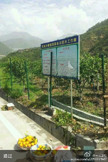 獨(dú)家:青島網(wǎng)友雅安地震親歷記