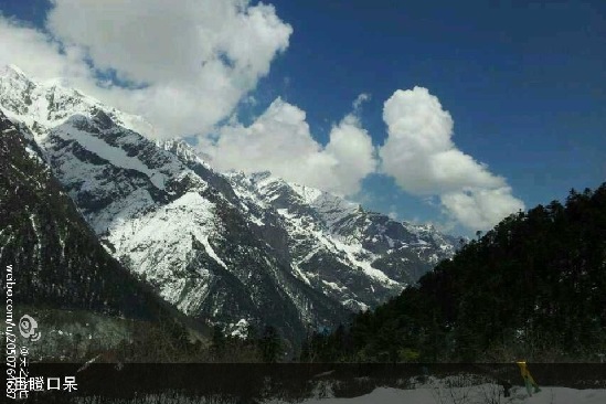 獨(dú)家:青島網(wǎng)友雅安地震親歷記