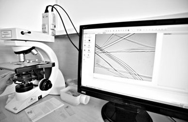 近半蠶絲被質(zhì)量不達(dá)標(biāo) 皮爾卡丹等品牌已下架