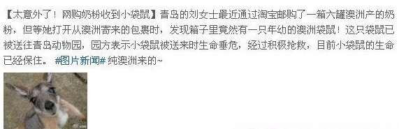 傳青島母親購澳洲奶粉收到袋鼠 證實(shí)純屬玩笑