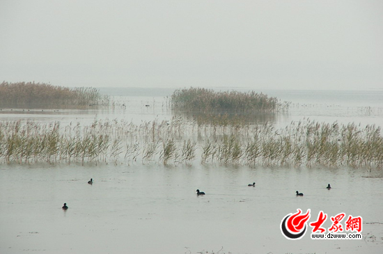 峽山湖國家濕地公園注重對(duì)自然環(huán)境的保護(hù)，公園的生物多樣性十分豐富，是我國內(nèi)陸候鳥遷徙通道上的重要驛站和棲息地