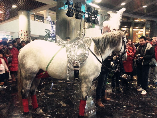 2013愛之旅冬季婚博會(huì) 愛神白馬亨利驚艷 2013愛之旅冬季婚博會(huì) 愛神白馬亨利驚艷