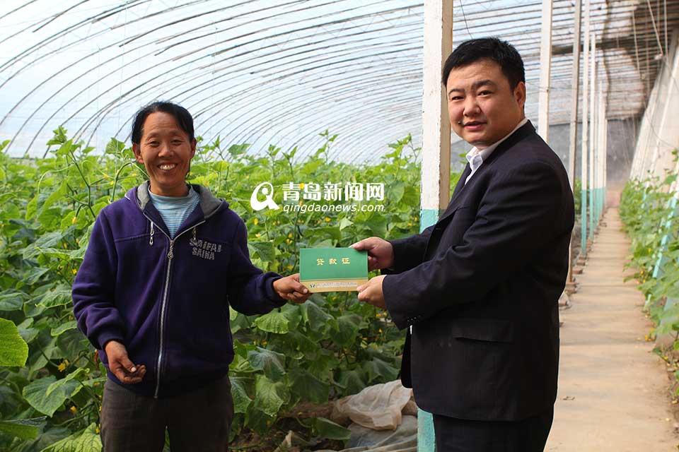 省農(nóng)村信用聯(lián)社：服務三農(nóng) 打造普惠金融(圖)