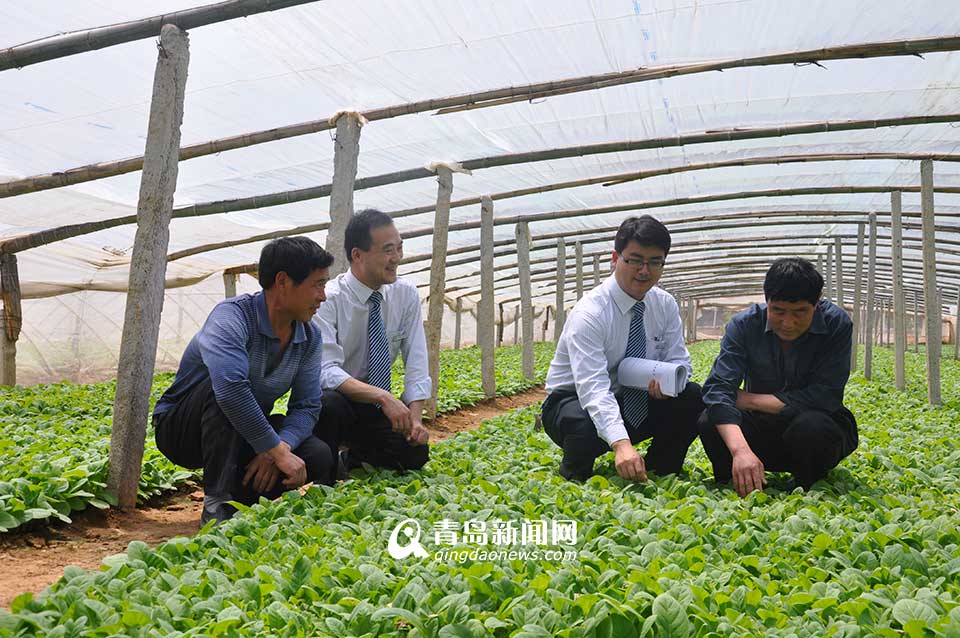 省農(nóng)村信用聯(lián)社：服務三農(nóng) 打造普惠金融(圖)