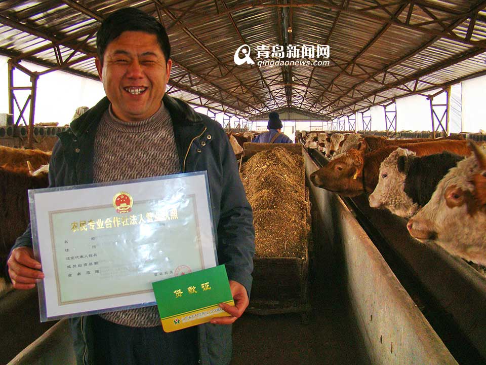 省農(nóng)村信用聯(lián)社：服務三農(nóng) 打造普惠金融(圖)