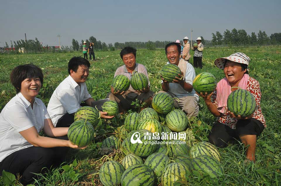 省農(nóng)村信用聯(lián)社：服務三農(nóng) 打造普惠金融(圖)