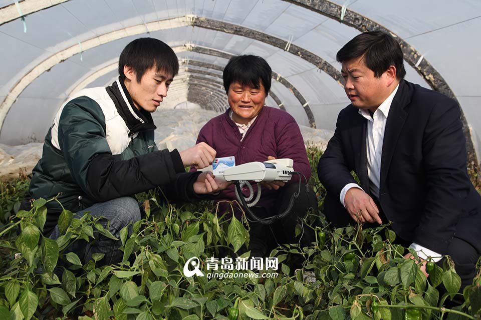 省農(nóng)村信用聯(lián)社：服務三農(nóng) 打造普惠金融(圖)