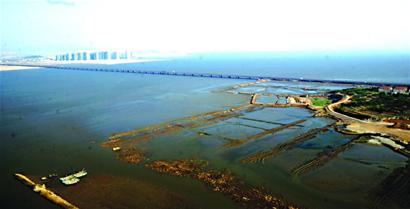 青島4座跨海大橋盤點 膠州灣大橋世界最長
