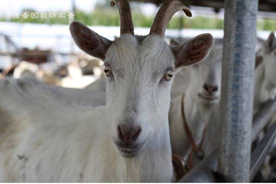 E:\軟文\ss512\15.jpg15